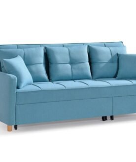 Full Sleeper Sofa Cum Bed