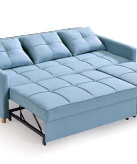 Full Sleeper Sofa Cum Bed design