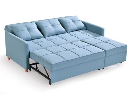 Full Sleeper Sofa Cum Bed design