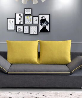 Multi Function Sofa Cum Bed