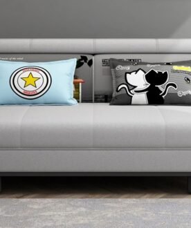 folding sofa come bed Design