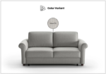 Picture shows the sofa bed color and color numer